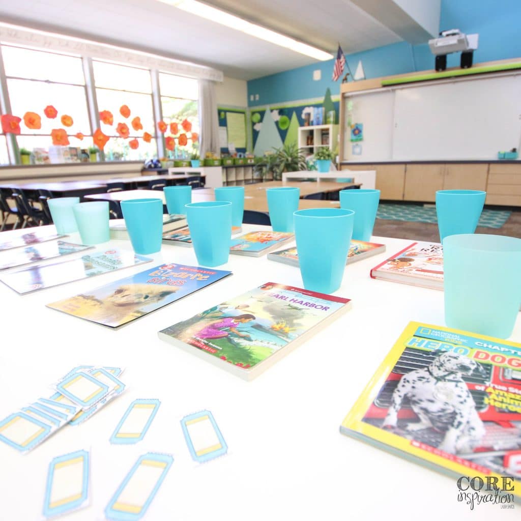 Our book raffle is always filled with excitement. All year long, I gather favorite books and raffle them off at the end of the year during our reading summit. Each student gets four lucky raffle tickets.