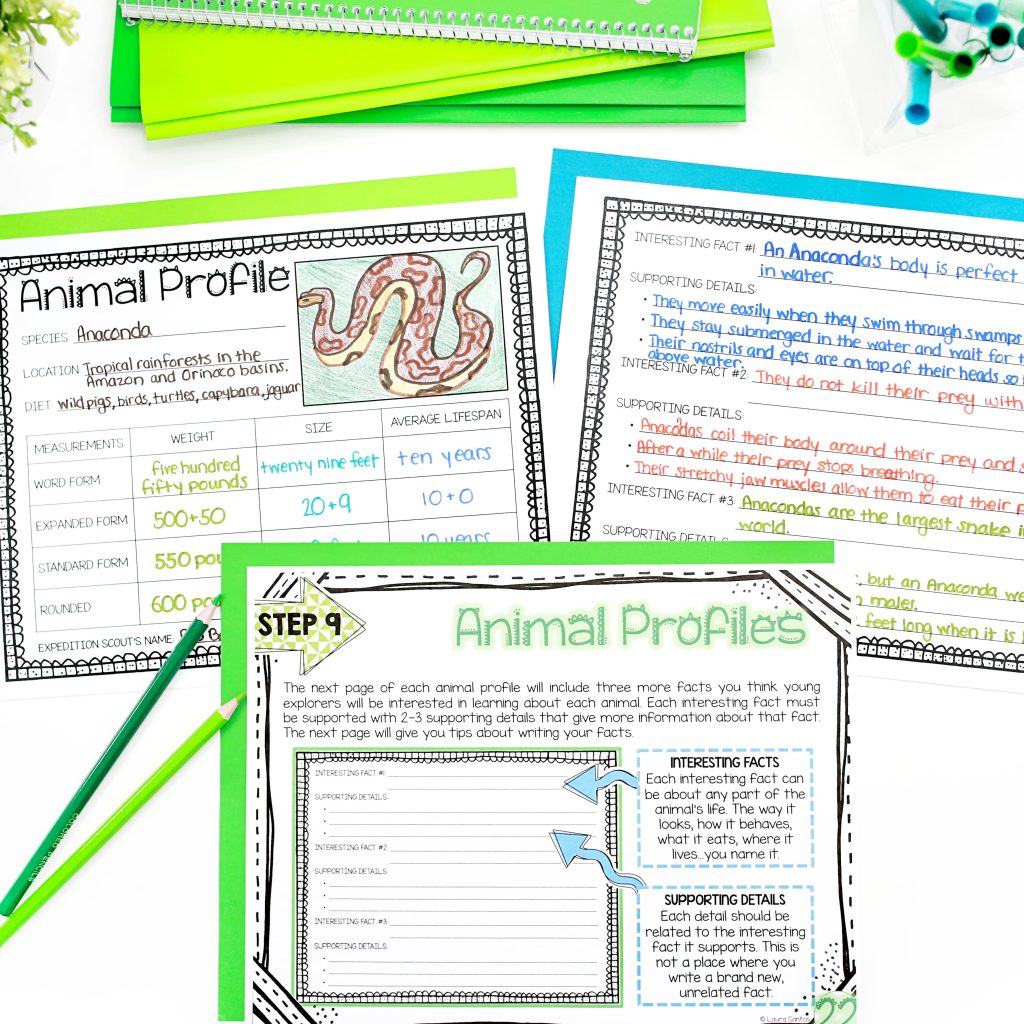 Place value project sample showing a completed Animal Project page next to detailed visual instructions in the project guide that help students work independently