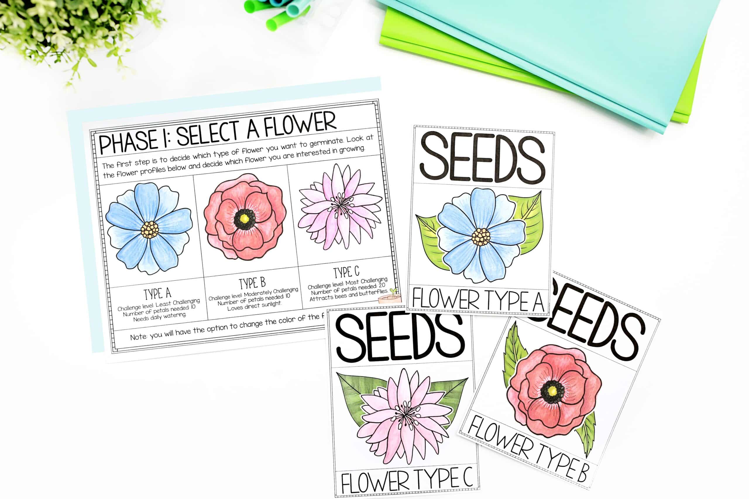 Core Inspiration's Fraction Flower Festival project pages showing project phase 1 when students select the type of flower they want to design. A perfect culmination to your fraction unit. 